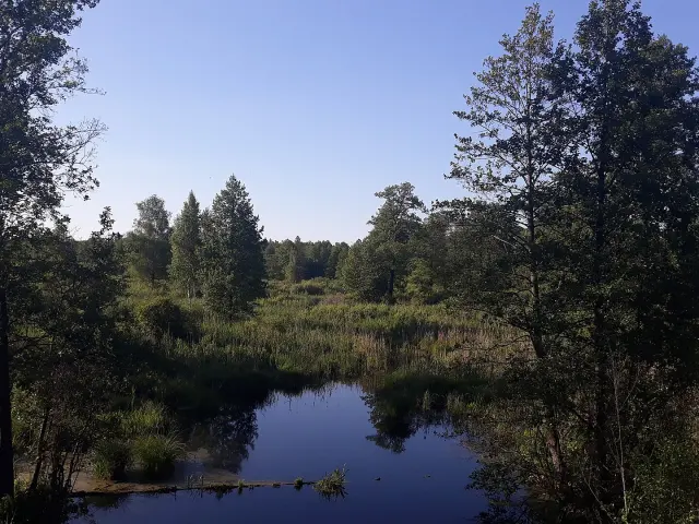 Take a trip to Vydryca Nature Reserve - Svyetlahorsk
