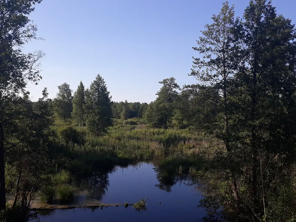 Take a trip to Vydryca Nature Reserve