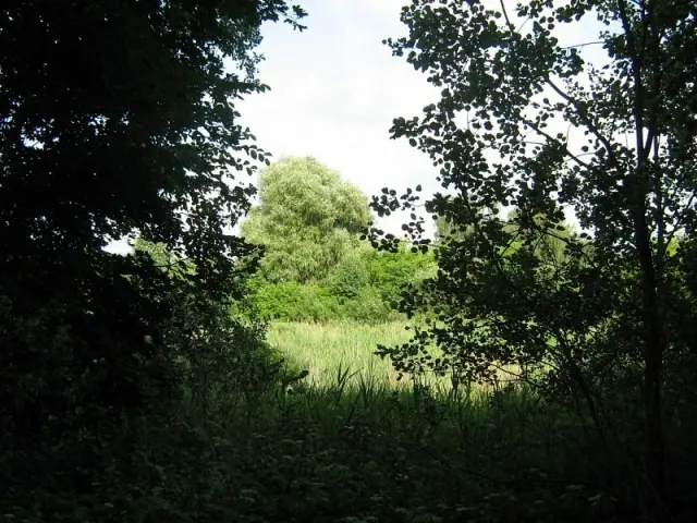 Take a trip to Verdamichy Manor Park - Volkovysk