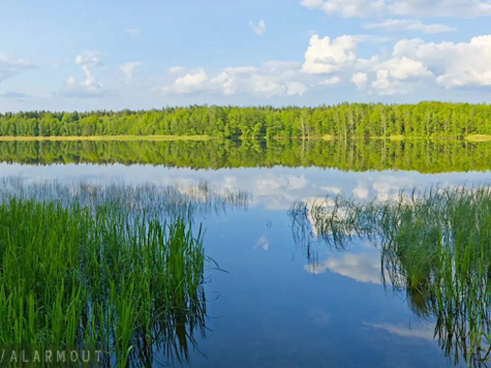 Visit Krušynouskaje Lake