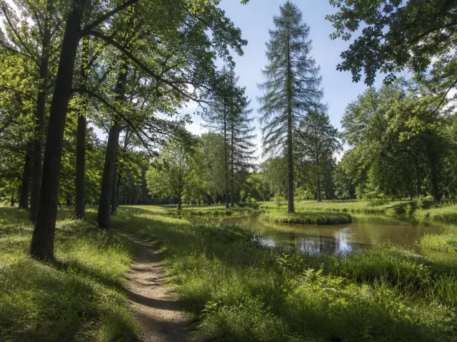 Take a walk in the park at Volna - Baranovichi