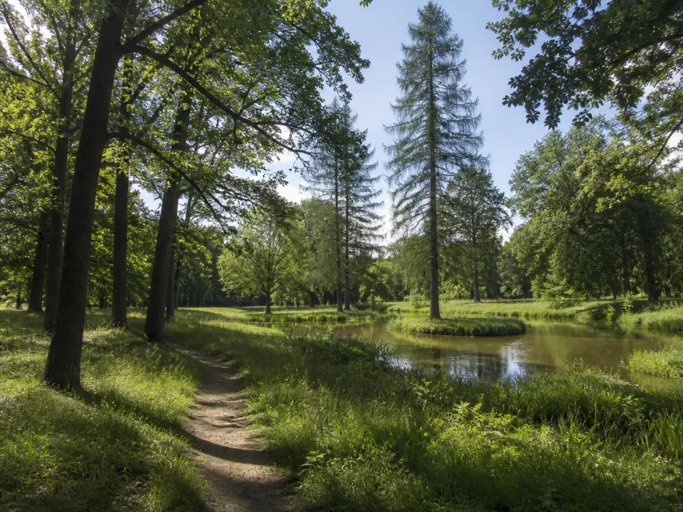 Take a walk in the park at Volna