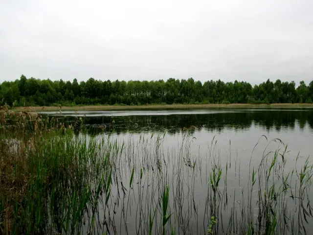 Take a trip to Lake Vialičkava - Lida
