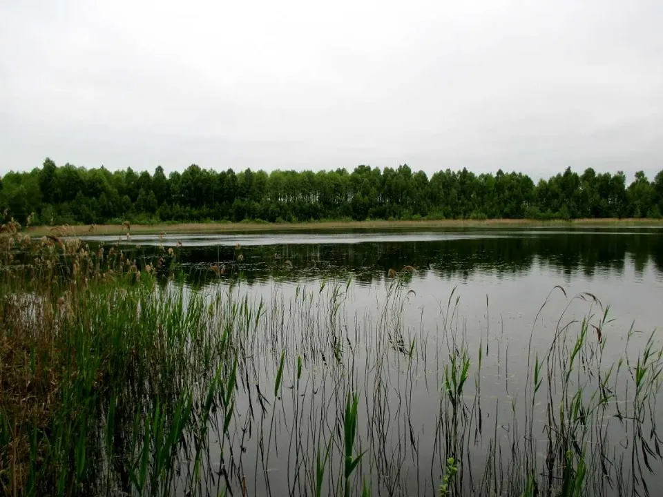 Take a trip to Lake Vialičkava
