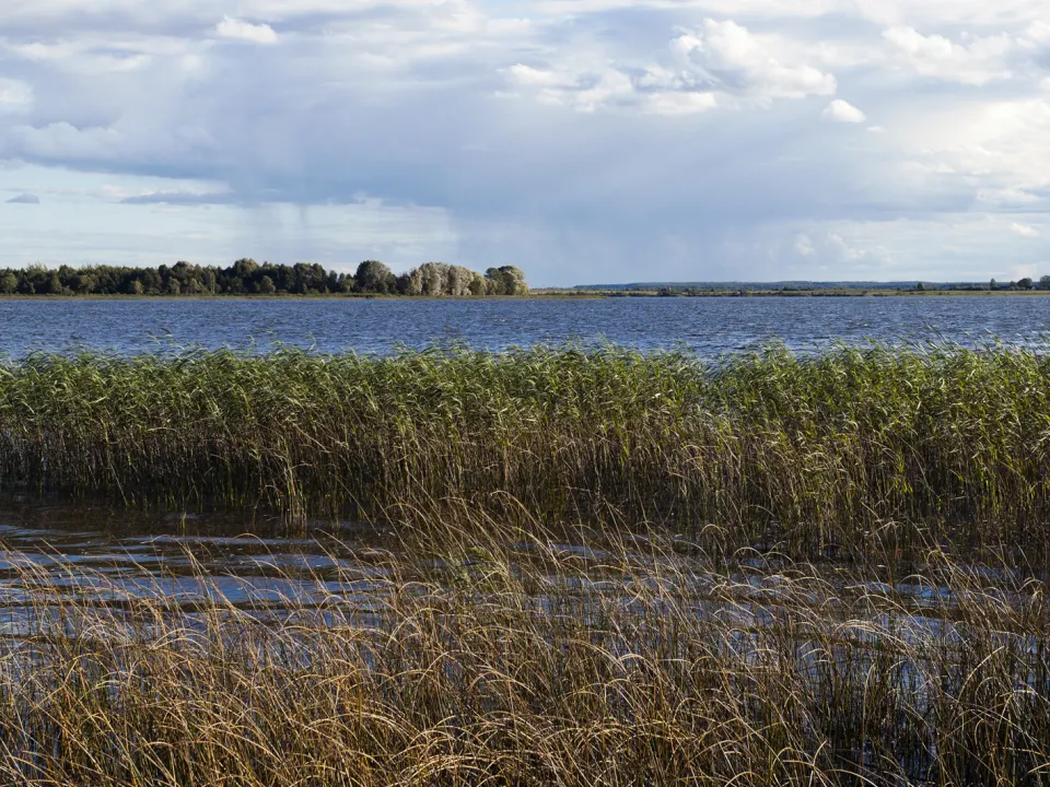 Visit Lake Siarviec