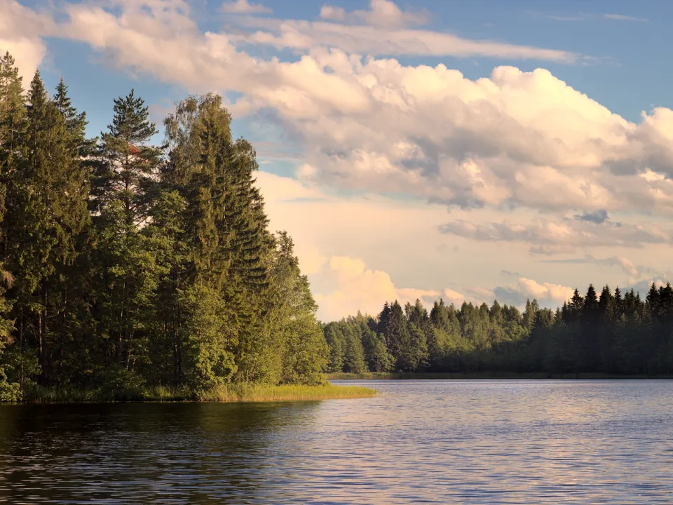 Visit Lake Nekoloch