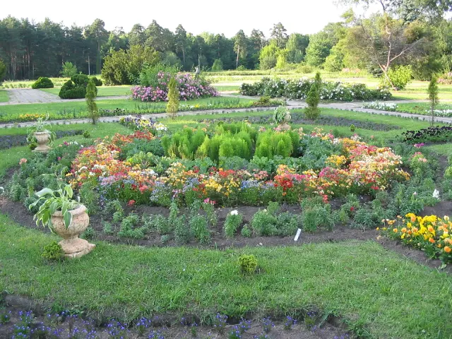Follow a seasonal route through Minsk Botanical Garden - Minsk