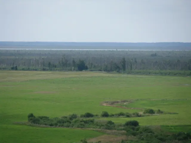 Take a day trip from Vitebsk to Yelnya bog - Vitebsk
