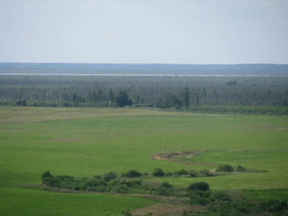 Take a day trip from Vitebsk to Yelnya bog