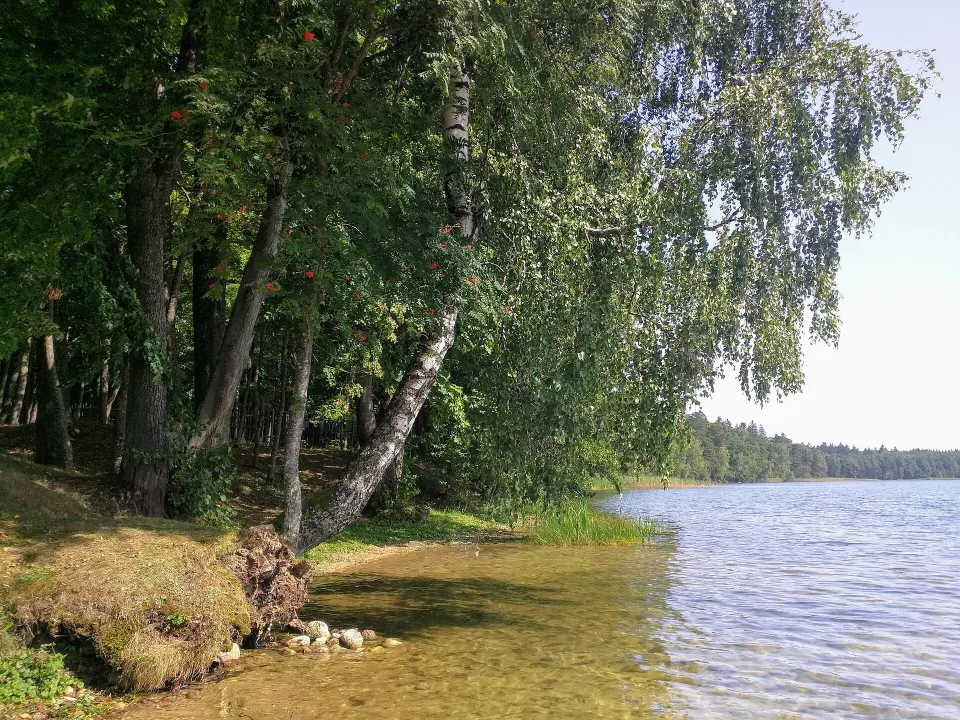 Take a trip to Lake Sviciaź