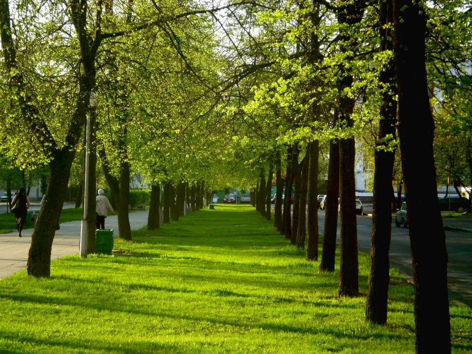 Walk along Cosmonauts Boulevard