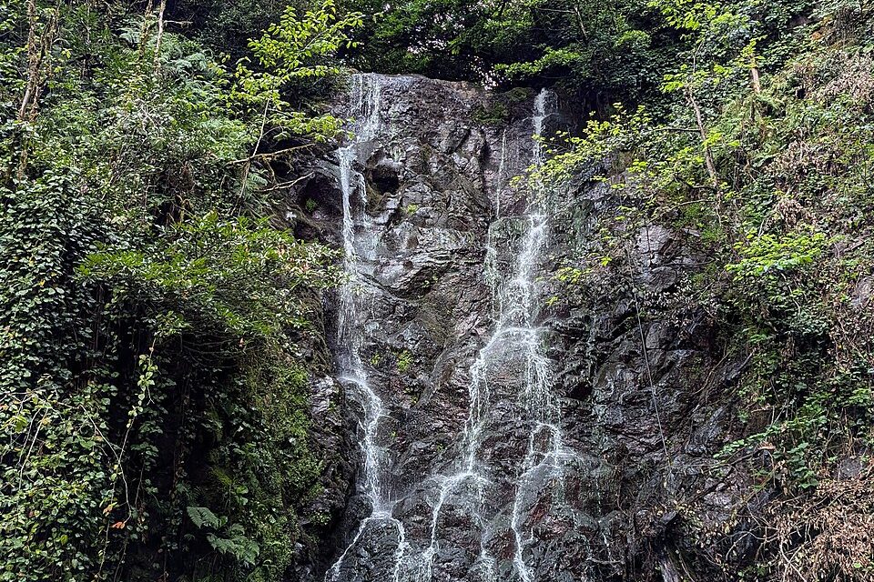 Walk through the boxwood forest to Mirveti Waterfall - Batumi